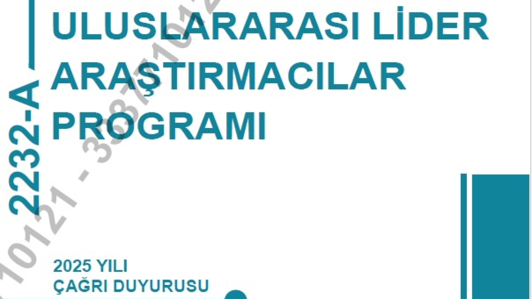 Uluslararası Lider Araştırmacılar Programı